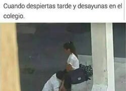 Enlace a Vine con prisas