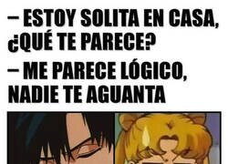 Enlace a Acabaste sola