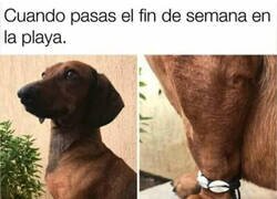 Enlace a Señal inequívoca