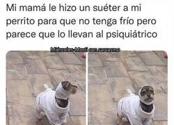 Enlace a Parece un perro loco