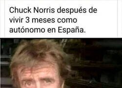 Enlace a Demasiado duro hasta para él