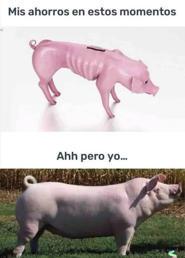 Meme_otros - Tan puerco como pobre