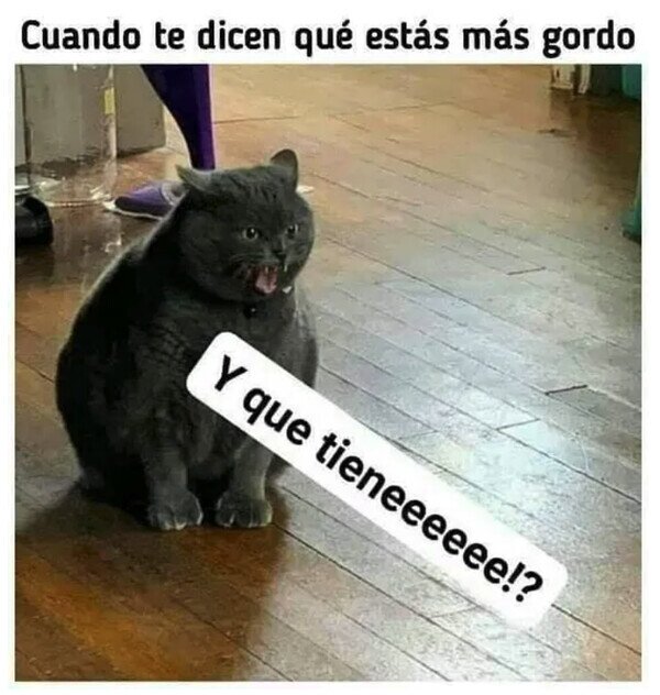 Meme_otros - Dejenme expandirme tranquilo