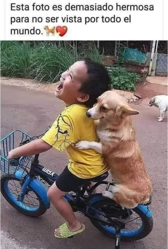 Meme_otros - Ahora soy un 2% más feliz