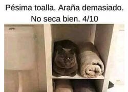 Enlace a El Gatoalla