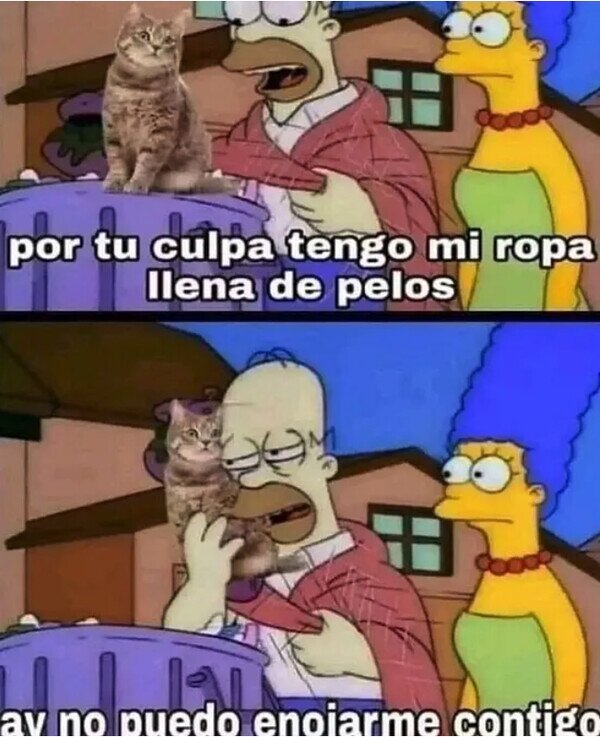 Meme_otros - El precio que pago con gusto
