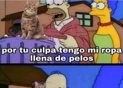 Enlace a El precio que pago con gusto