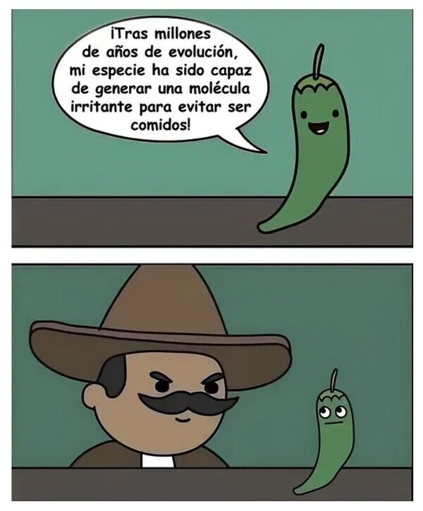 Meme_otros - Hasta que llegaron los mexicanos