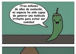 Enlace a Hasta que llegaron los mexicanos