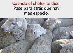 Enlace a Cuando el bus viene lleno