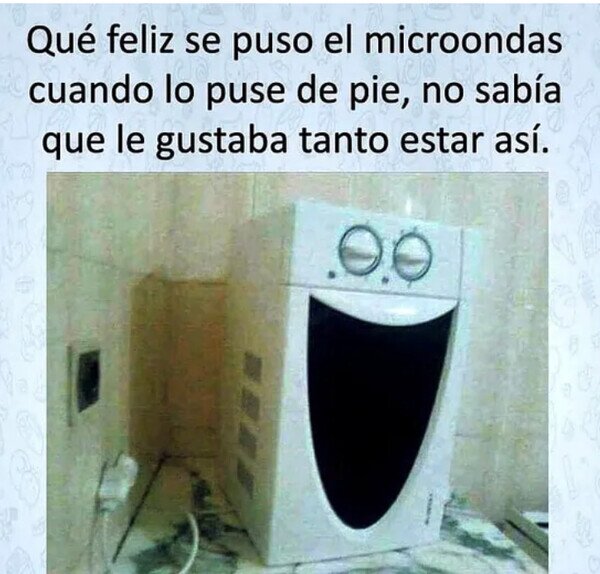 contento,feliz,pie,microondas