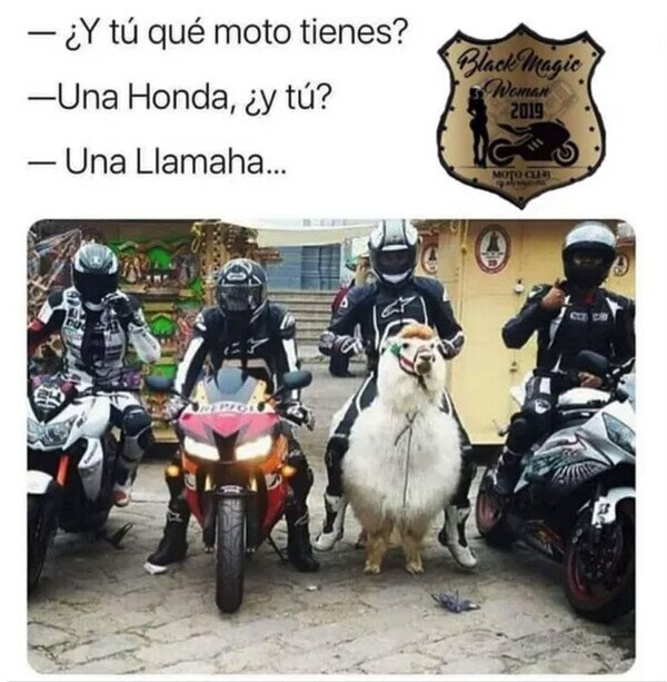 Meme_otros - Una Llamaha original