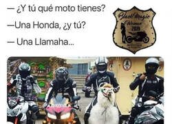 Enlace a Una Llamaha original