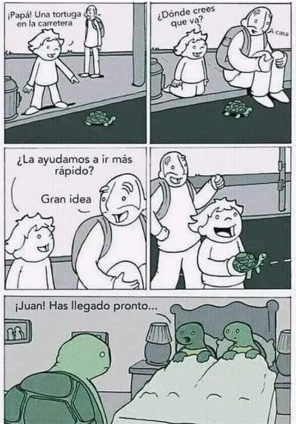 Meme_otros - Sin saberlo arruinaron la vida de esa tortuga