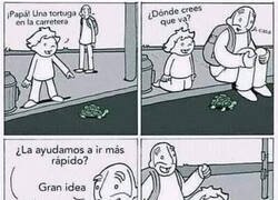 Enlace a Sin saberlo arruinaron la vida de esa tortuga