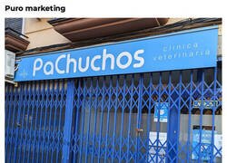 Enlace a Masters of Naming