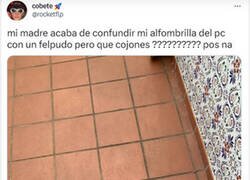 Enlace a ¿Felpudo o alfombrilla?