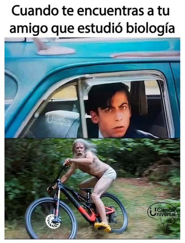 Meme_otros - No le fue demasiado bien...