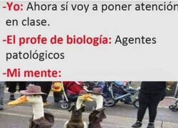 Enlace a No puedo concentrarme