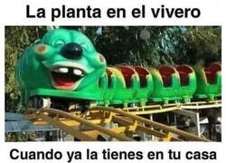 Enlace a No aguanta nada