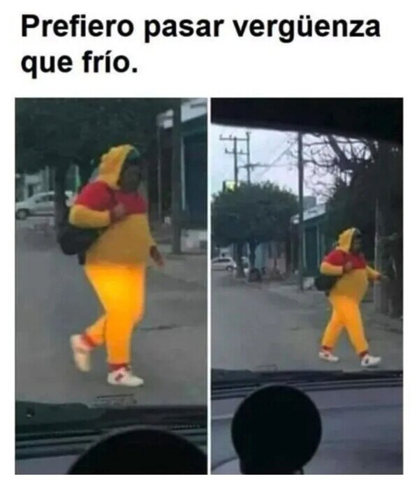 Meme_otros - ¿Winnie, eres tú?