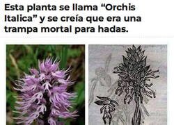 Enlace a La verdad es que podría serlo