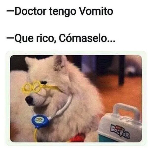 Otros - Visita al Dogtor