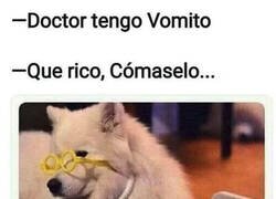Enlace a Visita al Dogtor