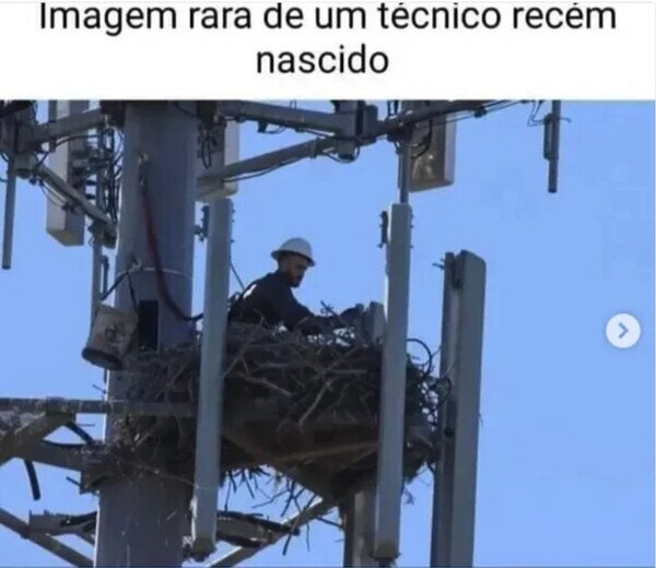 Otros - El milagro de la vida