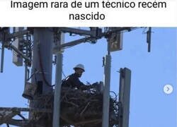 Enlace a El milagro de la vida