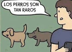 Enlace a No somos tan diferentes