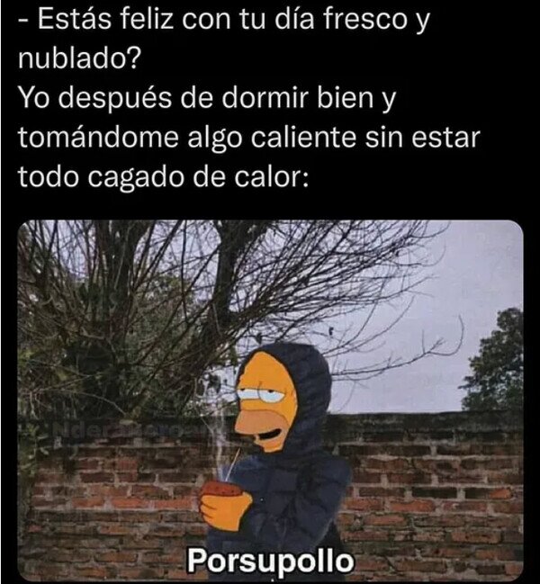 Meme_otros - Perteneciente al Team Frío