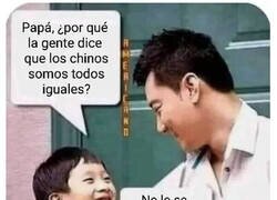 Enlace a Kungfusión