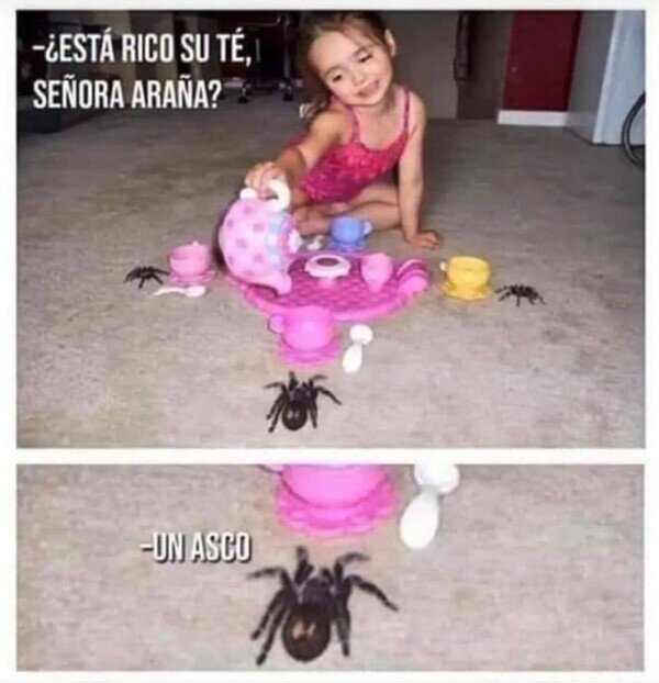 Meme_otros - No son muy amables