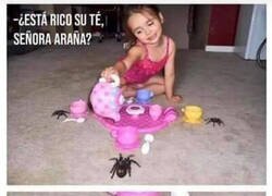 Enlace a No son muy amables