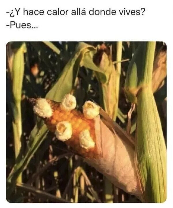 Meme_otros - Es un buen indicador