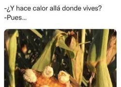 Enlace a Es un buen indicador