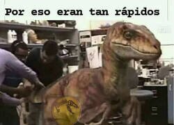 Enlace a Con deportivas no vale