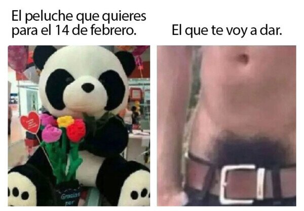 Otros - El peluche de San Valentín