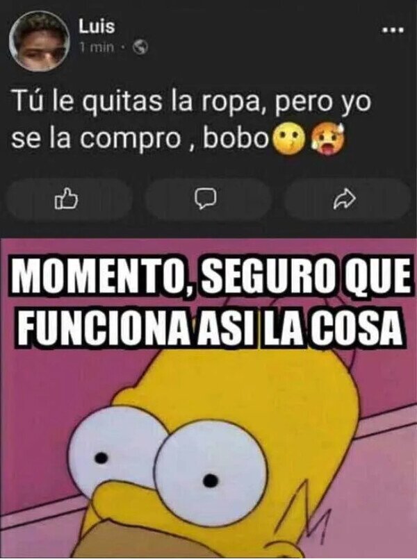 Meme_otros - ¿Quién es el bobo aquí?