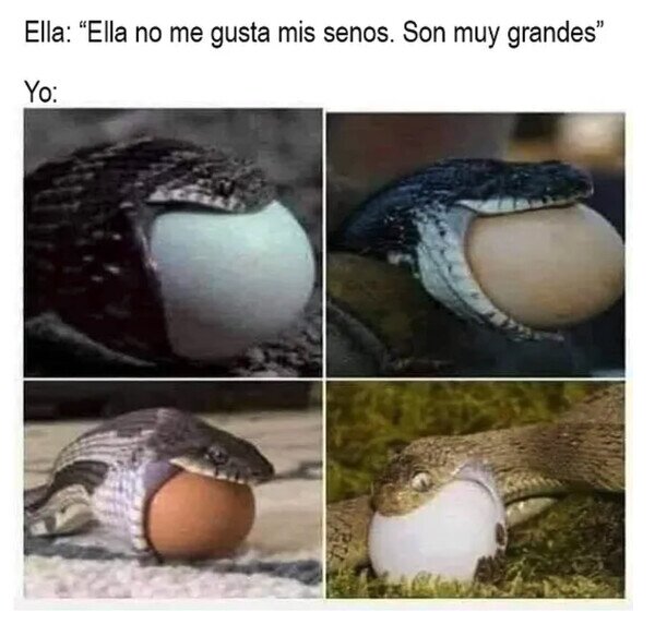 Meme_otros - Tranquila, me adapto