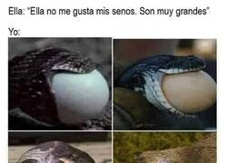 Enlace a Tranquila, me adapto