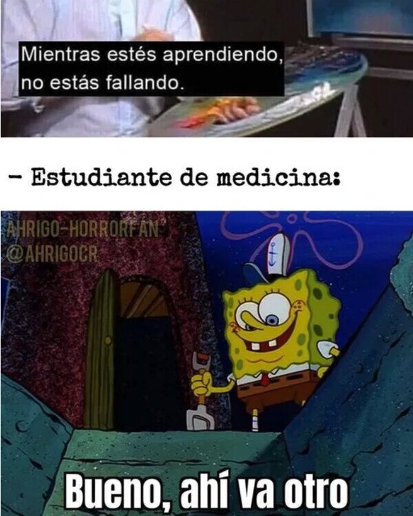 Meme_otros - Cuantísimo estoy aprendiendo...