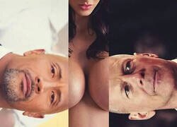 Enlace a Como dos cabezas calvas