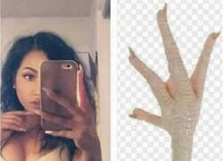 Enlace a Parecido más que razonable