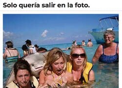 Enlace a La pobre manta raya solo quería amigos