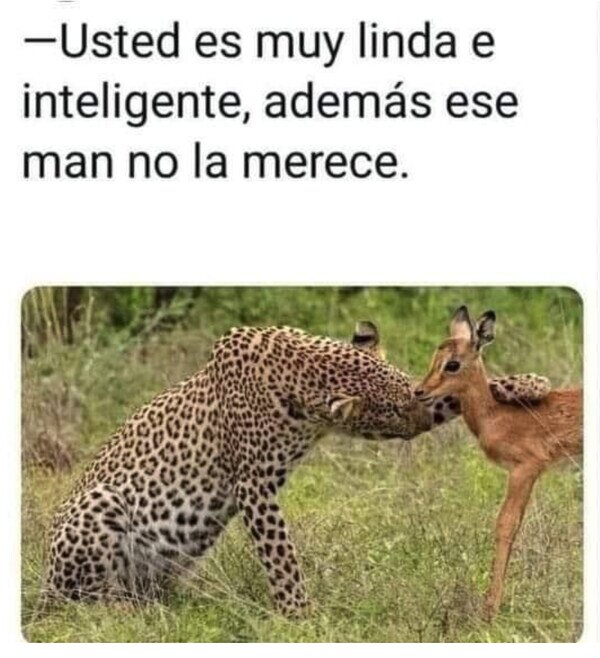 Meme_otros - Solo se la quiere comer