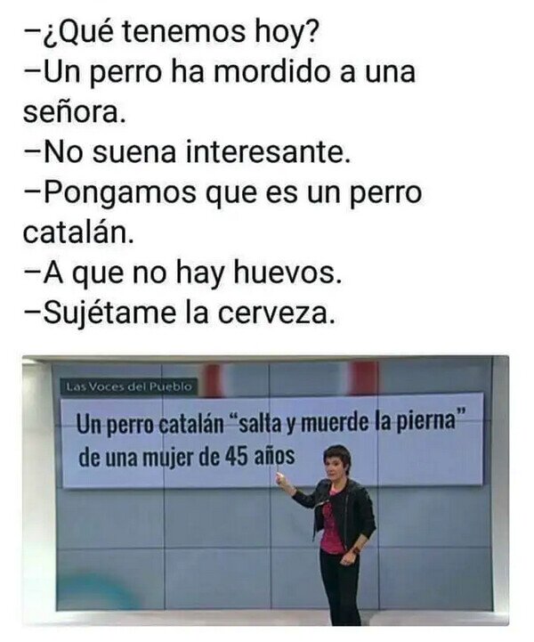 Meme_otros - Los temibles perros independentistas
