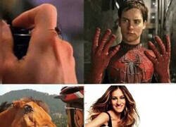 Enlace a La cara de Sarah Jessica Parker