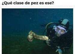 Enlace a Esa es la cara que se te queda